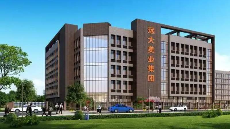 S16竞猜平台 接入案例 多语言版本发布